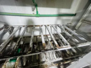 ضبط 725 كيلو جرام منتجات ألبان غير صالحة للاستهلاك الآدمي بالقليوبية