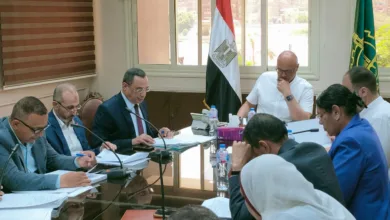 محافظ القليوبية يترأس اجتماع مجلس المناطق الصناعية محافظ القليوبية يترأس اجتماع مجلس المناطق الصناعية