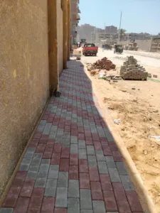 محافظ القليوبية يتابع أعمال تطوير شارع نبوية موسى بمسطرد - صور