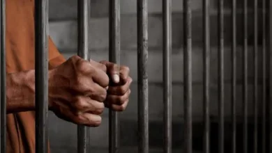 المشدد 7 سنوات لعامل لخطفه طفلة والتعدي عليها بالقناطر الخيرية