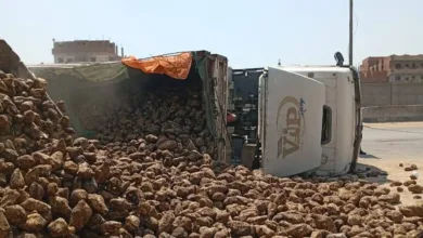 انقلاب سيارة نقل ثقيل محملة بالبنجر بالطريق الزراعي بالقليوبية