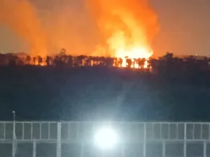 الدفع ب 10 سيارات إطفاء للسيطرة على حريق اندلع في نخيل بالخانكة