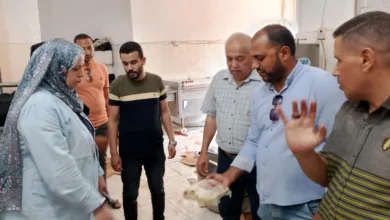ضبط طن لحوم غير صالحة للاستهلاك الآدمي في القليوبية - صور ضبط طن لحوم غير صالحة للاستهلاك الآدمي في القليوبية - صور