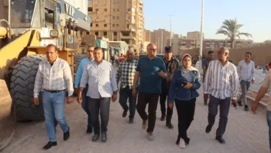 محافظ القليوبية يتفقد أعمال تطوير شارع نبوية موسى بشرق شبرا الخيمة - صور محافظ القليوبية يتفقد أعمال تطوير شارع نبوية موسى بشرق شبرا الخيمة - صور