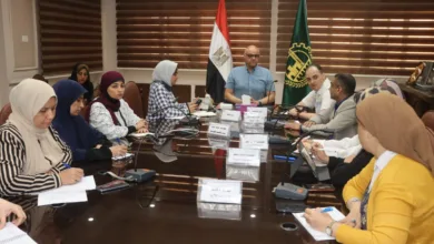 محافظ القليوبية يوجه بإنشاء خريطة تفاعلية شاملة لخدمة المواطنين والمستثمرين محافظ القليوبية يوجه بإنشاء خريطة تفاعلية شاملة لخدمة المواطنين والمستثمرين