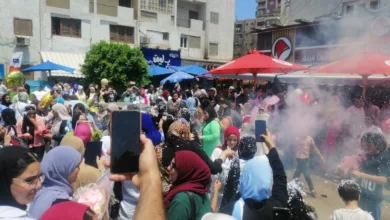 شماريخ وبلالين.. أبرز مظاهر احتفال طلاب الثانوية العامة بالقليوبية بختام الماراثون - صور شماريخ وبلالين.. أبرز مظاهر احتفال طلاب الثانوية العامة بالقليوبية بختام الماراثون - صور