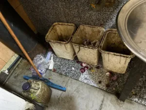 ضبط 125 كجم أغذية فاسدة في العبور وتوصية بغلق 3 منشآت غذائية بالقليوبية