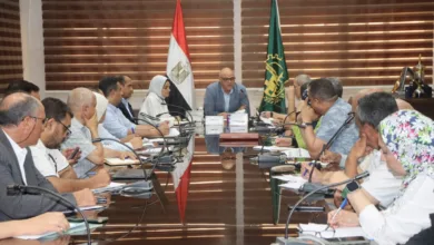 محافظ القليوبية يشدد على تكثيف جهود إزالة التعديات على أراضي الدولة