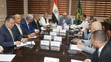 محافظ القليوبية يعقد اجتماعًا تنسيقيًا لضمان استمرارية الخدمات الحيوية خلال أعمال صيانة الكهرباء محافظ القليوبية يعقد اجتماعًا تنسيقيًا لضمان استمرارية الخدمات الحيوية خلال أعمال صيانة الكهرباء