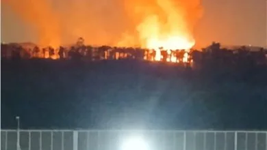الدفع ب 10 سيارات إطفاء للسيطرة على حريق اندلع في نخيل بالخانكة