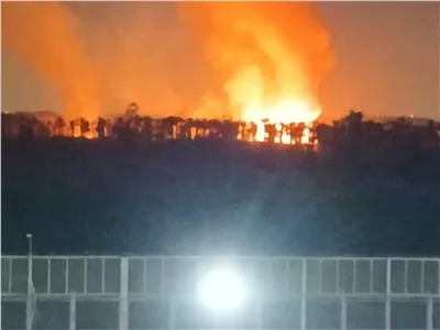 الدفع ب 10 سيارات إطفاء للسيطرة على حريق اندلع في نخيل بالخانكة الدفع ب 10 سيارات إطفاء للسيطرة على حريق اندلع في نخيل بالخانكة