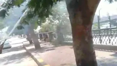 السيطرة على حريق شجرة بكورنيش النيل في بنها