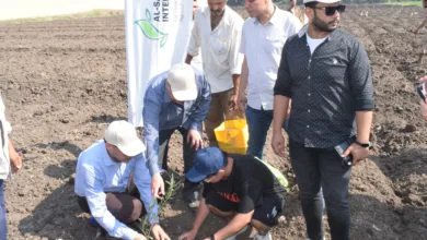 رئيس جامعة بنها يزرع 1000 شتلة زيتون بكلية الزراعة بمشتهر ويشهد حصاد السمك البلطي