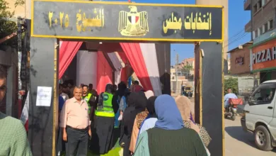 إقبال على لجان انتخابات الشيوخ بكفر شكر إقبال على لجان انتخابات الشيوخ بكفر شكر