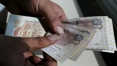 شهادات الادخار تعيد الجنيه المصري إلى صدارة خيارات الاستثمار.. 9 بنوك تتنافس بعوائد مرتفعة شهادات الادخار تعيد الجنيه المصري إلى صدارة خيارات الاستثمار.. 9 بنوك تتنافس بعوائد مرتفعة