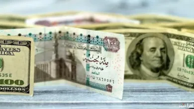 تراجع الدولار أمام الجنيه ببداية تعاملات الخميس في عدد من البنوك تراجع الدولار أمام الجنيه ببداية تعاملات الخميس في عدد من البنوك