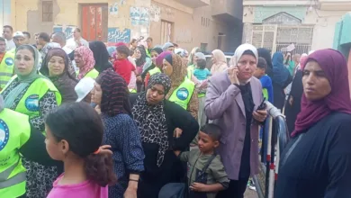 زحام أمام لجان انتخابات مجلس الشيوخ بشبين القناطر - صور زحام أمام لجان انتخابات مجلس الشيوخ بشبين القناطر - صور