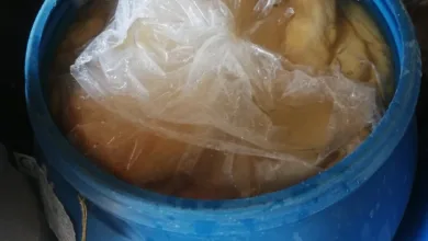 بيطري القليوبية يضبط 3.7 طن دهون وممبار فاسد ومجهول المصدر