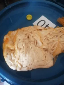 بيطري القليوبية يضبط 3.7 طن دهون وممبار فاسد ومجهول المصدر