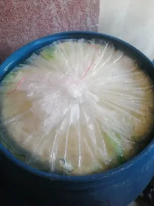 بيطري القليوبية يضبط 3.7 طن دهون وممبار فاسد ومجهول المصدر