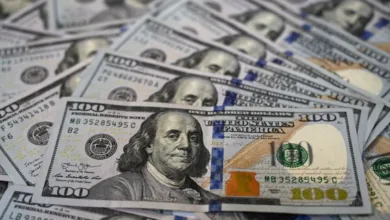 الدولار يهبط أمام الجنيه في البنوك المصرية خلال تعاملات اليوم