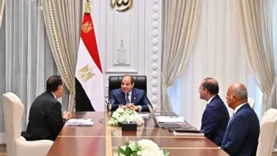 السيسي يطلع على الأداء المالي للدولة: فائض أولي قياسي رغم التحديات وانخفاض إيرادات قناة السويس