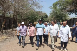 عودة الإنتاج بمشروع "30 مليون بيضة".. خطوة نحو تحقيق الاكتفاء المحلي