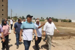 عودة الإنتاج بمشروع "30 مليون بيضة".. خطوة نحو تحقيق الاكتفاء المحلي