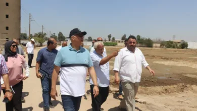 عودة الإنتاج بمشروع "30 مليون بيضة".. خطوة نحو تحقيق الاكتفاء المحلي عودة الإنتاج بمشروع "30 مليون بيضة".. خطوة نحو تحقيق الاكتفاء المحلي