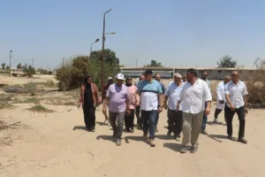 عودة الإنتاج بمشروع "30 مليون بيضة".. خطوة نحو تحقيق الاكتفاء المحلي