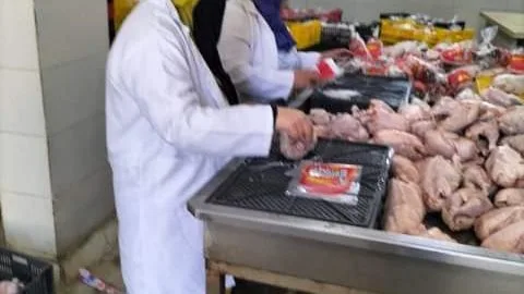 ضبط 2 طن منتجات دواجن غير صالحة للاستهلاك الآدمي بالقليوبية