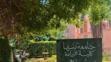 لمواكبة متطلبات سوق العمل ووظائف المستقبل .. 6 برامج دراسية متميزة باللغة الإنجليزية بزراعة بنها