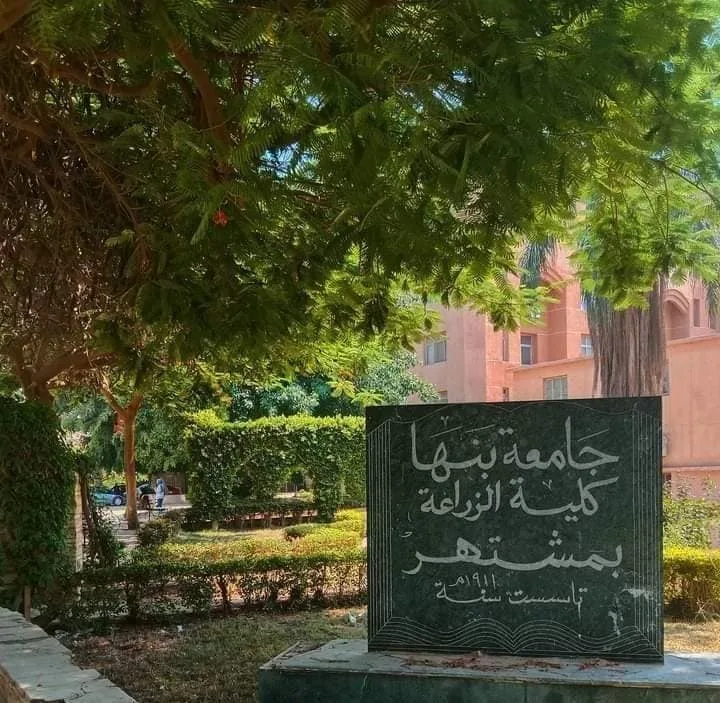 لمواكبة متطلبات سوق العمل ووظائف المستقبل .. 6 برامج دراسية متميزة باللغة الإنجليزية بزراعة بنها