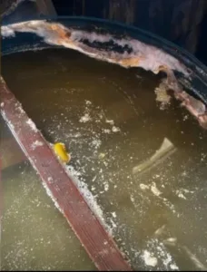 ضبط 3 طن مواد غذائية غير صالحة للاستهلاك الآدمي بالقليوبية