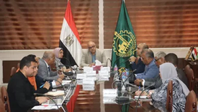 محافظ القليوبية يستكمل إجراءات إنشاء مصنع لتدوير القمامة وتحويلها إلى كهرباء محافظ القليوبية يستكمل إجراءات إنشاء مصنع لتدوير القمامة وتحويلها إلى كهرباء
