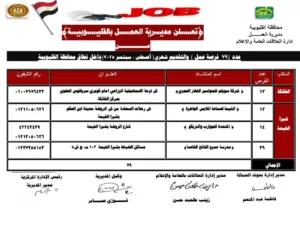 79 فرصة عمل جديدة لشباب القليوبية برواتب مجزية ومزايا خاصة