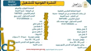 مديرية العمل بالقليوبية تعلن عن وظائف جديدة ضمن النشرة القومية للتشغيل