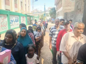 طوابير السيدات يتصدرن المشهد في انتخابات الشيوخ بالقليوبية - صور