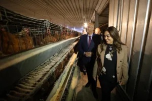 وزيرة التنمية المحلية ومحافظ القليوبية يشهدان انطلاقة جديدة لمشروع "30 مليون بيضة" بعد توقف سنوات