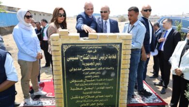 وزيرة التنمية المحلية ومحافظ القليوبية يشهدان انطلاقة جديدة لمشروع "30 مليون بيضة" بعد توقف سنوات وزيرة التنمية المحلية ومحافظ القليوبية يشهدان انطلاقة جديدة لمشروع "30 مليون بيضة" بعد توقف سنوات