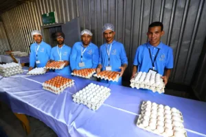 وزيرة التنمية المحلية ومحافظ القليوبية يشهدان انطلاقة جديدة لمشروع "30 مليون بيضة" بعد توقف سنوات