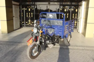 محافظ القليوبية يهدي تروسيكل ومساعدة مالية لابن ضحية حريق القناطر الخيرية