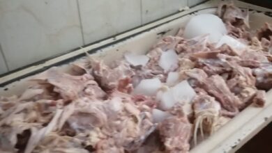 القليوبية.. حملات بيطرية تضبط أطنان دواجن فاسدة بشبرا الخيمة