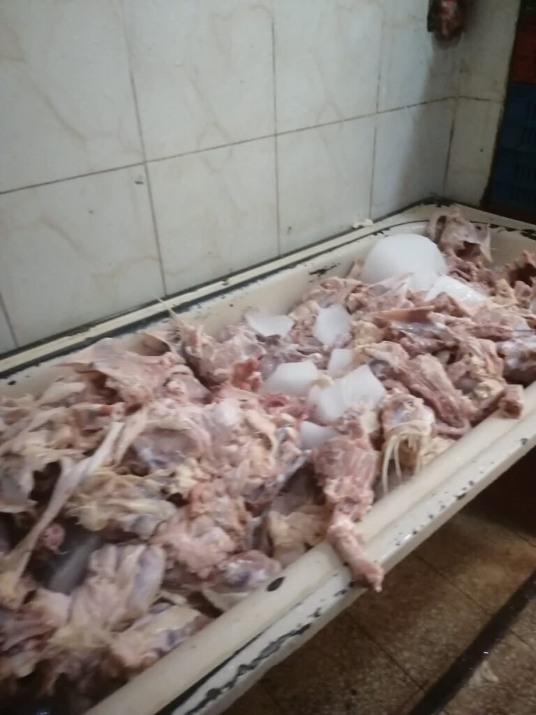 القليوبية.. حملات بيطرية تضبط أطنان دواجن فاسدة بشبرا الخيمة