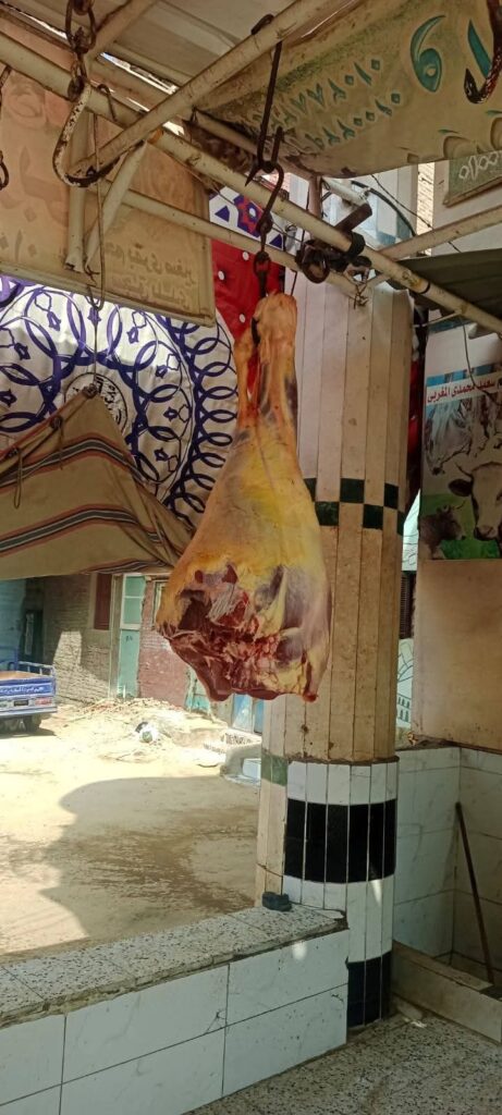 7.7 طن لحوم فاسدة في قبضة حملات الطب البيطري بالقليوبية