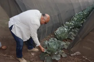 عيد الفلاح 2025 بالقليوبية.. المحافظ يطلق لقاء أسبوعي مع المزارعين ويتفقد مشروعات زراعية جديدة