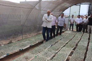 عيد الفلاح 2025 بالقليوبية.. المحافظ يطلق لقاء أسبوعي مع المزارعين ويتفقد مشروعات زراعية جديدة