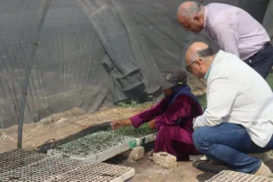 عيد الفلاح 2025 بالقليوبية.. المحافظ يطلق لقاء أسبوعي مع المزارعين ويتفقد مشروعات زراعية جديدة