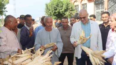 عيد الفلاح 2025 بالقليوبية.. المحافظ يطلق لقاء أسبوعي مع المزارعين ويتفقد مشروعات زراعية جديدة عيد الفلاح 2025 بالقليوبية.. المحافظ يطلق لقاء أسبوعي مع المزارعين ويتفقد مشروعات زراعية جديدة