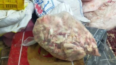 حملات تموينية تكشف مصنعًا مخالفًا بشبين القناطر وتضبط 3.6 طن لحوم ودهون غير صالحة للاستهلاك حملات تموينية تكشف مصنعًا مخالفًا بشبين القناطر وتضبط 3.6 طن لحوم ودهون غير صالحة للاستهلاك